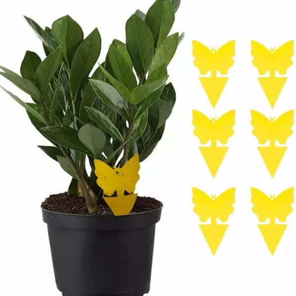 Skadedjur & Insekter-100-pack - Flugfälla / Flugfälla / Myggfångare - Fångar flugor Gul