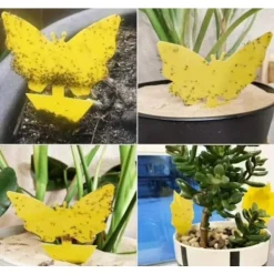 Skadedjur & Insekter-100-pack - Flugfälla / Flugfälla / Myggfångare - Fångar flugor Gul