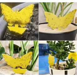 Generic Skadedjur & Insekter-60-Pack - Flugfångare / Flugfälla / Myggfångare - Fångar flugor