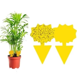 Skadedjur & Insekter-60-pack Flugfångare / Flugfälla / Klisterfälla för insekter Gul_qq