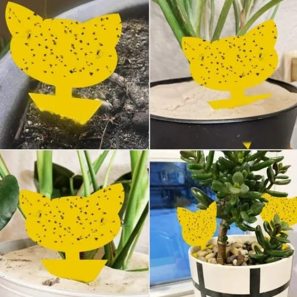 Skadedjur & Insekter-60-pack Flugfångare / Flugfälla / Klisterfälla för insekter Gul_qq