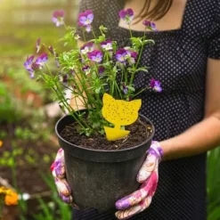 Skadedjur & Insekter-60-pack Flugfångare / Flugfälla / Klisterfälla för insekter Gul_qq