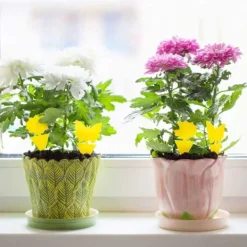 Megabilligt Skadedjur & Insekter-20-pack Flugfångare - Flugfälla - Fjäril