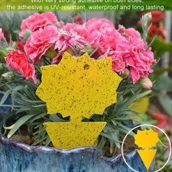 Skadedjur & Insekter-60-pack Flugfångare - Flugfälla - Söt och effektiv FLY