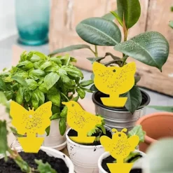 Mfour Skadedjur & Insekter-20-pack Flugfångare - Flugfälla - Söta och Effektiva