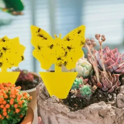 Mfour Skadedjur & Insekter-20-pack Flugfångare - Flugfälla - Söta och Effektiva