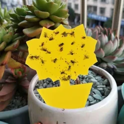 Otego Skadedjur & Insekter-100-pack Flugfångare - Flugfälla - Söta och Effektiva