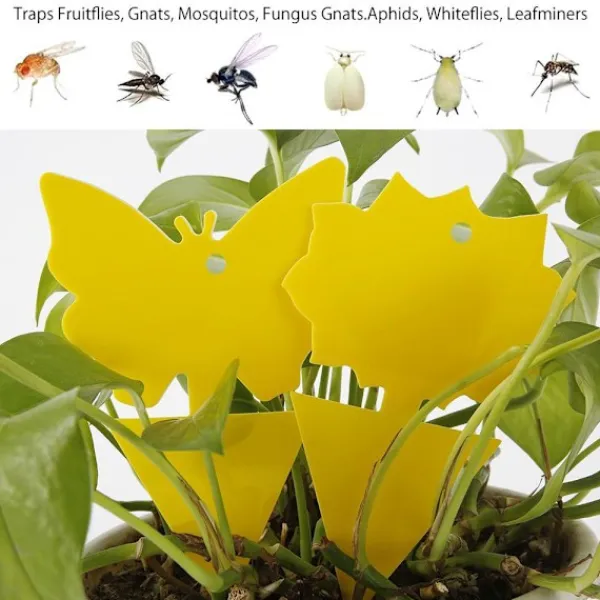 Otego Skadedjur & Insekter-20-pack Flugfångare - Flugfälla - Söta och Effektiva FJÄRIL