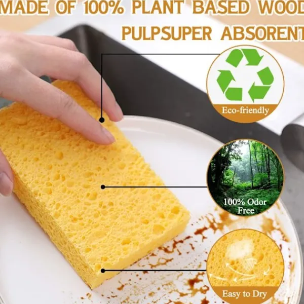 Svampar & Dukar-(10-pack) Naturliga Disksvampar, Återanvändbara Tvättsvampar - Komprimerad Trämassa Disksvamp Torkare Repfri