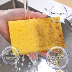 Svampar & Dukar-(10-pack) Naturliga Disksvampar, Återanvändbara Tvättsvampar - Komprimerad Trämassa Disksvamp Torkare Repfri