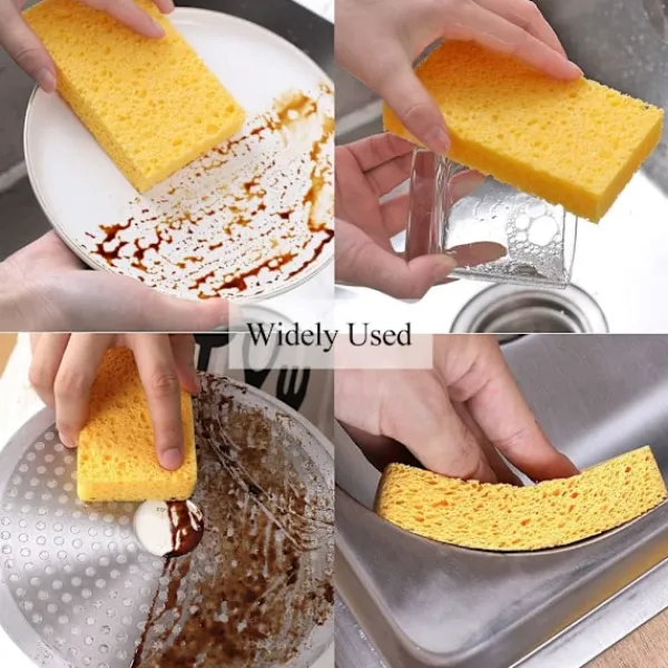 Svampar & Dukar-(10-pack) Naturliga Disksvampar, Återanvändbara Tvättsvampar - Komprimerad Trämassa Disksvamp Torkare Repfri