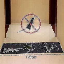 Skadedjur & Insekter-4-pack Råttbeständiga Stora Klistermattor Svarta Osynliga Musfälla