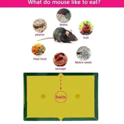 Skadedjur & Insekter-5/10pcs Mouse Board Sticky Mice Glue Trap High Effective Rodent Rat Bugs Catcher Pest Control 5pcs