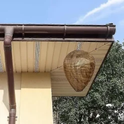 Skadedjur & Insekter-Pieces Vattentät Getingbo Lockbete Hängande Hornet Getingavskräckare Falskt Tyg Getingbo Giftfri Bi Lockbete Avskräckare för Hem Trädgård Utomhus Brun | Fyndiq