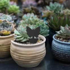 Floveme Skadedjur & Insekter-Praktiska Effektfulla Flugfällor / Insektsfällor (6-Pack) Fjärril