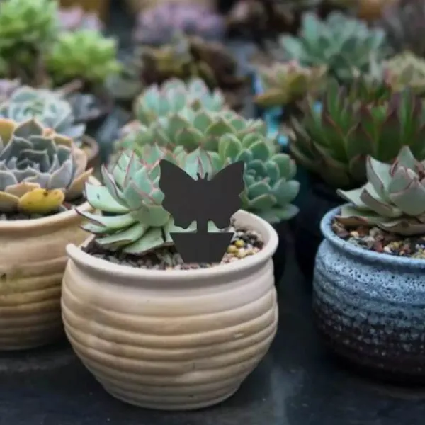 Floveme Skadedjur & Insekter-Praktiska Effektfulla Flugfällor / Insektsfällor (6-Pack) Fjärril