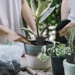 Floveme Skadedjur & Insekter-Praktiska Effektfulla Flugfällor / Insektsfällor (6-Pack) Fjärril