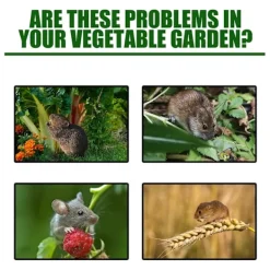 Skadedjur & Insekter-Råttgiftpiller Pack Rodenticid Trädgård Hushåll Bilmotor Råtta Ekorre Gnagare Avvisande 60pcs