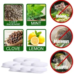 Skadedjur & Insekter-Råttgiftpiller Pack Rodenticid Trädgård Hushåll Bilmotor Råtta Ekorre Gnagare Avvisande 60pcs