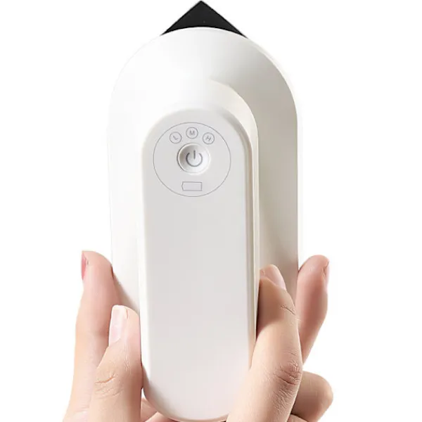 Strykjärn-Sladdlöst ångstrykjärn, Laddningsbart, Anti-rynka, ZQKLA