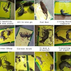 Skadedjur & Insekter-Sticky Mouse Board Mouse Trap Sticky Board, Strong Stickiness, Mouse Trap 3 Packs