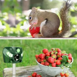 Skadedjur & Insekter-Ultraljuds Kattskrämma, Ultraljuds Insektskrämma, Musavskräckare för Utomhusträdgårdar