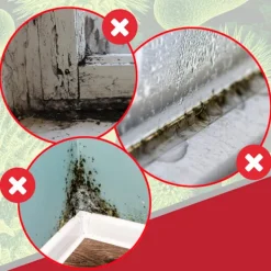 Torktumlare-Universell Kondenssats för Torktumlare med 3 Adaptrar (1,2 m)