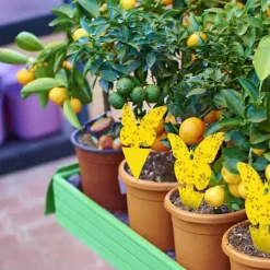 Generic Skadedjur & Insekter-20X Flugfångare Klisterfälla Insektsfälla one size