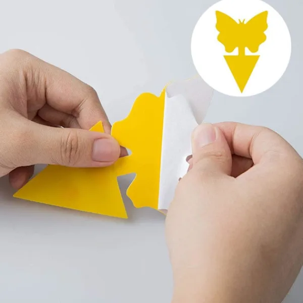 Generic Skadedjur & Insekter-20X Flugfångare Klisterfälla Insektsfälla one size