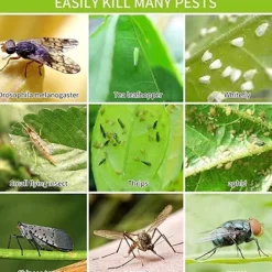 Generic Skadedjur & Insekter-20X Flugfångare Klisterfälla Insektsfälla one size