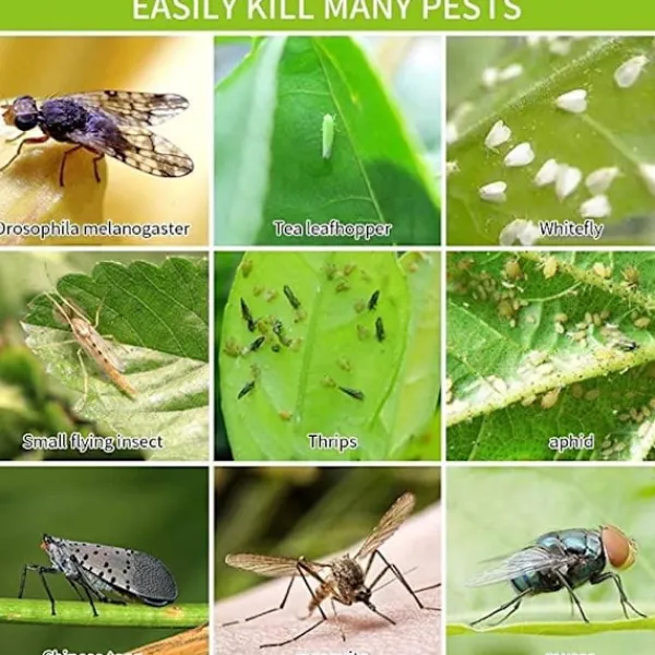 Generic Skadedjur & Insekter-20X Flugfångare Klisterfälla Insektsfälla one size